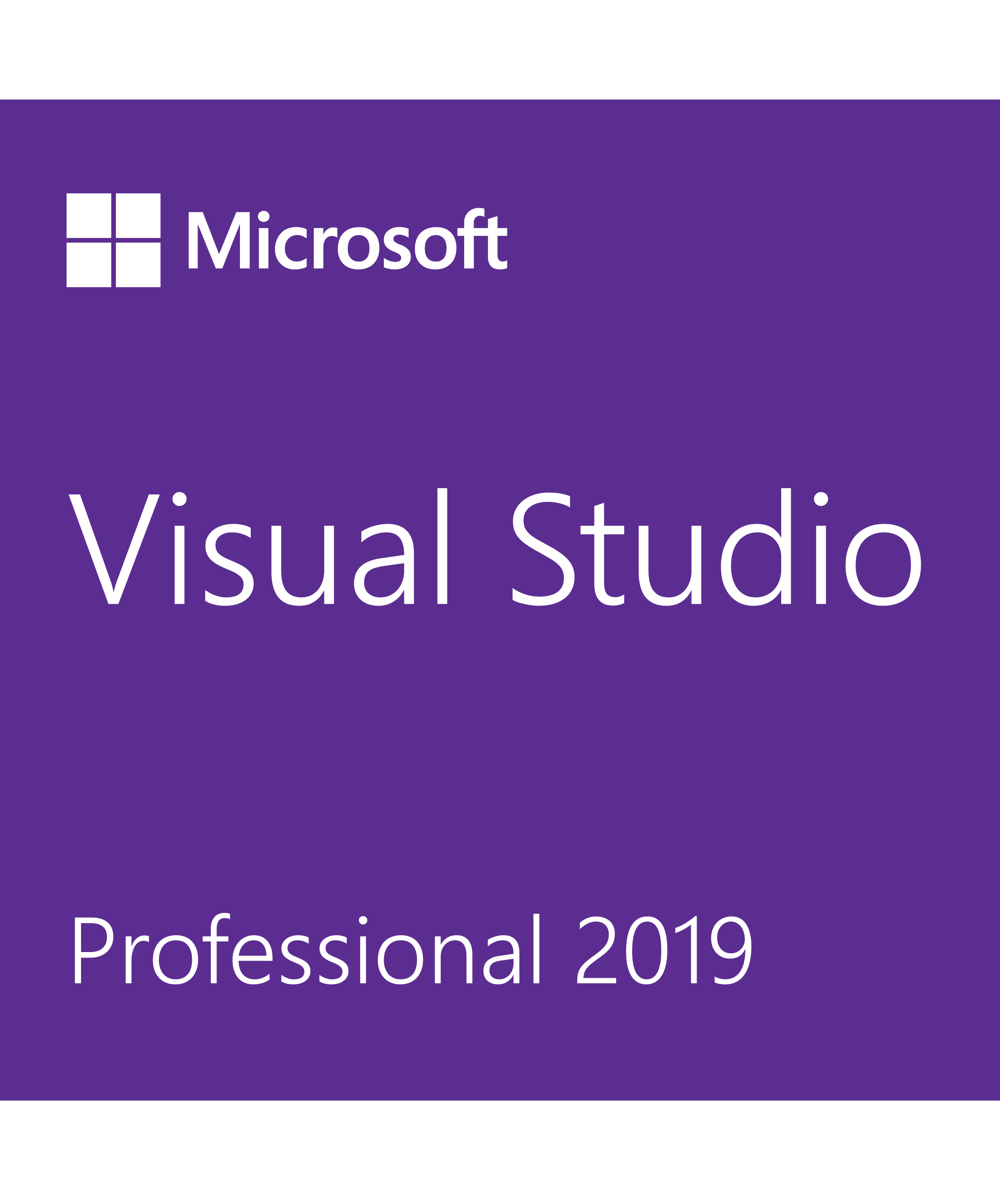 download visual studio professional 2019 license